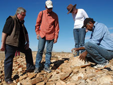 Australia-South Australia-Great Aussie Cattle Drive